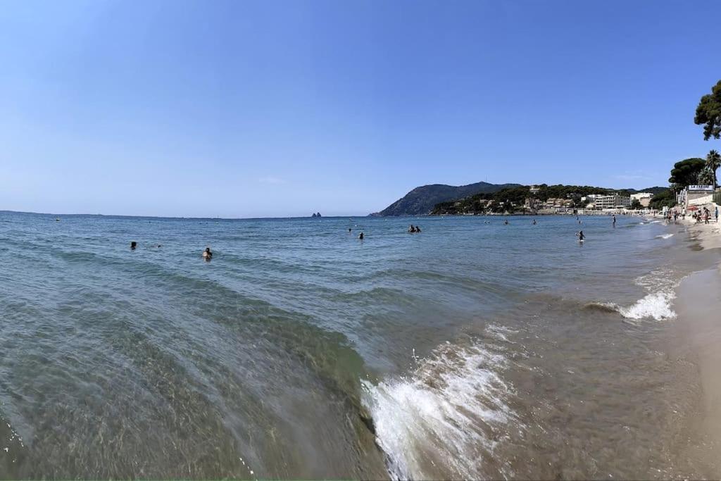 La Perle De Toulon Apartment Екстериор снимка