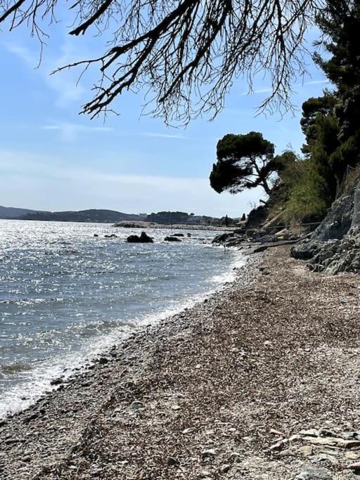 La Perle De Toulon Apartment Екстериор снимка